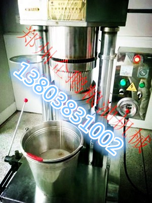各種廠家生產的小型榨油機各有千秋(圖1) 各種廠家生產的小型榨油機各有千秋(圖1)