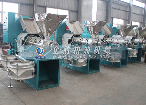 商用榨油機：榨油技術的革新