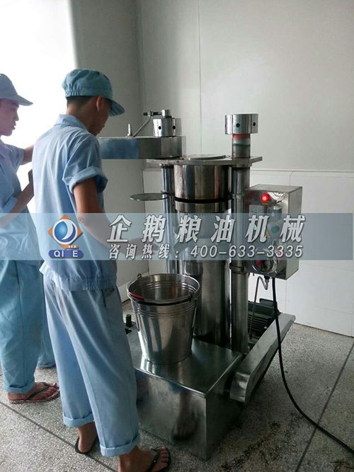 榨花生油設備的原理與特點